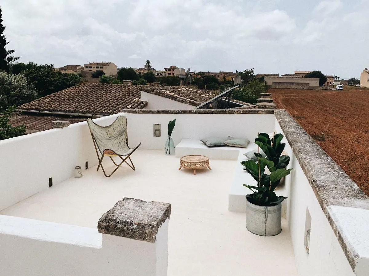 Sa Caseta Studio Apartment Algaida